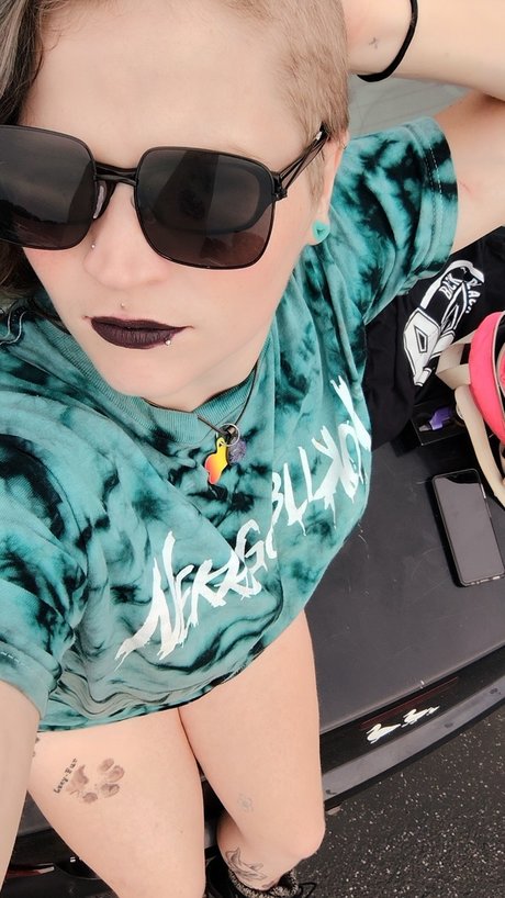 Nova The Puppy アートスター 画像