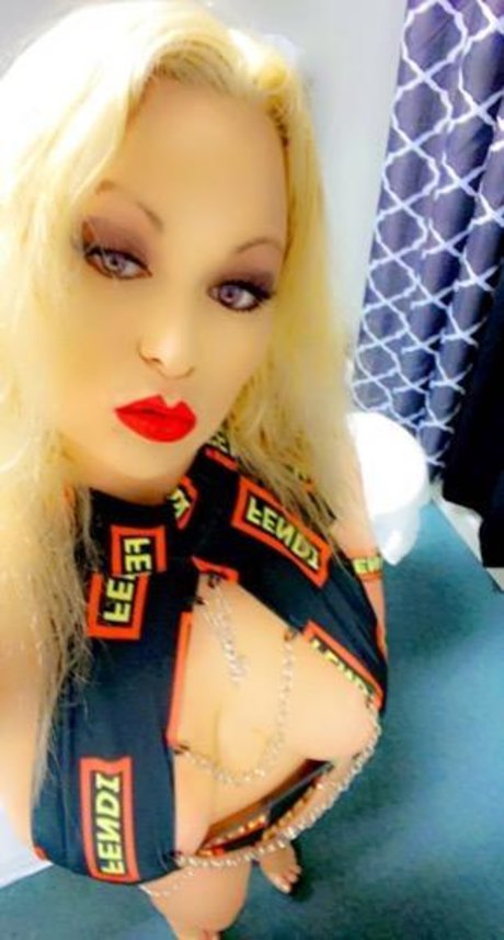 Nordic Storm 高品質スター ギャラリー