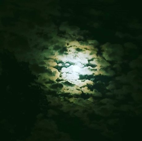 MelaninHellion 完璧なスター ギャラリー