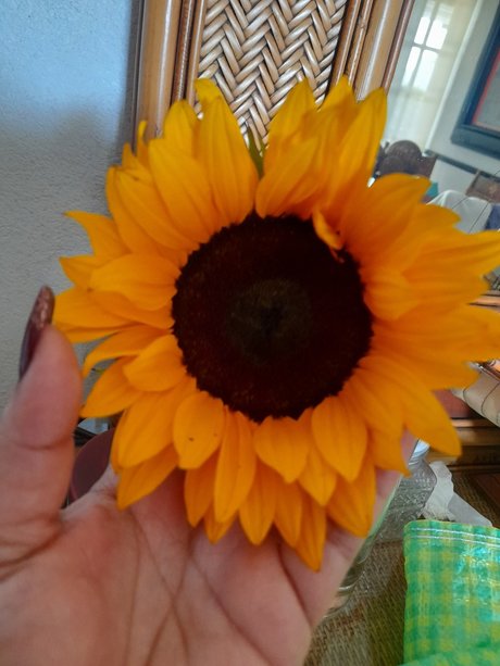 _Ojitos_ 最高のモデル 画像