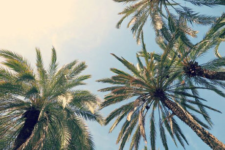 Tootiee_ 独占モデル アーカイブ