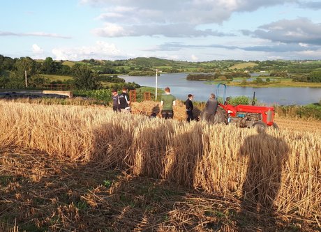 OnlyFarms スター 裸 写真