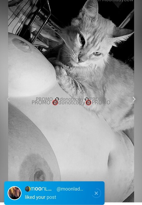 One Sweet One_ 最高のポルノスター アーカイブ