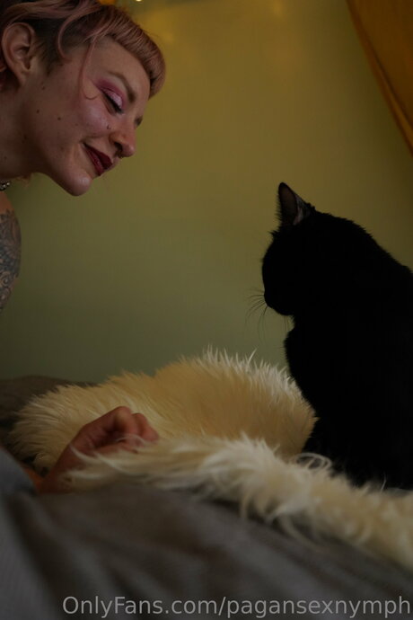 Kitten Nymph 無料女優 アーカイブ