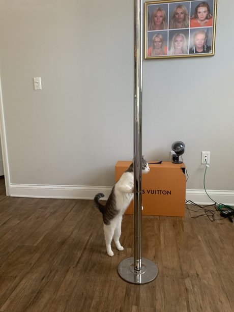 日本の熟女オンリーファンズ ホットセクシー 写真