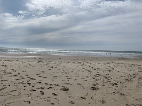 Oregongay ヌードモデル 画像