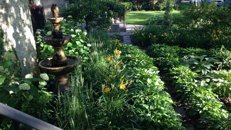 The Real Patriarch Smith 美しいポルノスター 写真