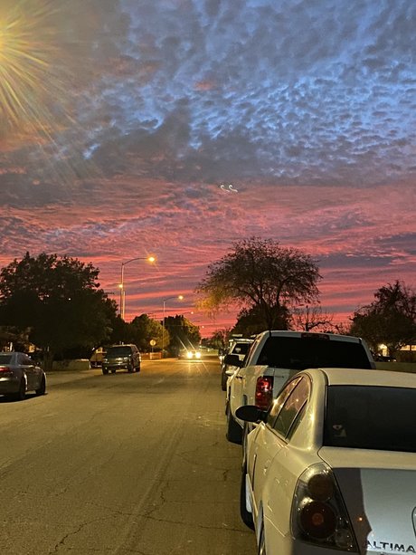 Timothy 美しい女優 写真