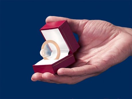 Paracidic Toxnig かわいいスター 写真