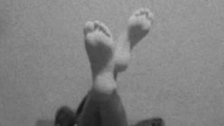 Paola Rodriguez 素敵なモデル 画像