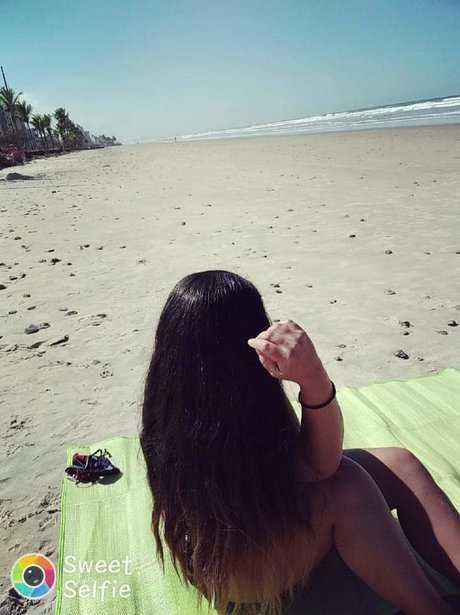 Pamela Palmeira アダルトスター 画像