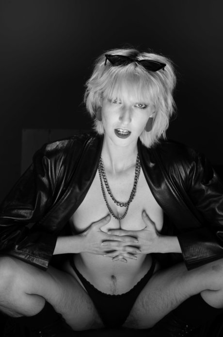 Pains Grey 限定スター 写真