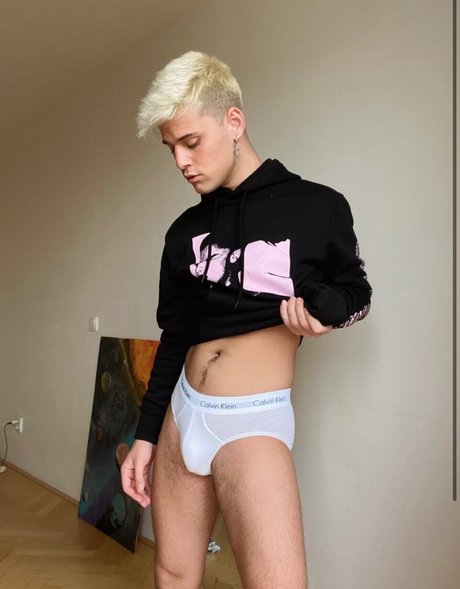 PeterHarris VIP_ HDモデル 写真