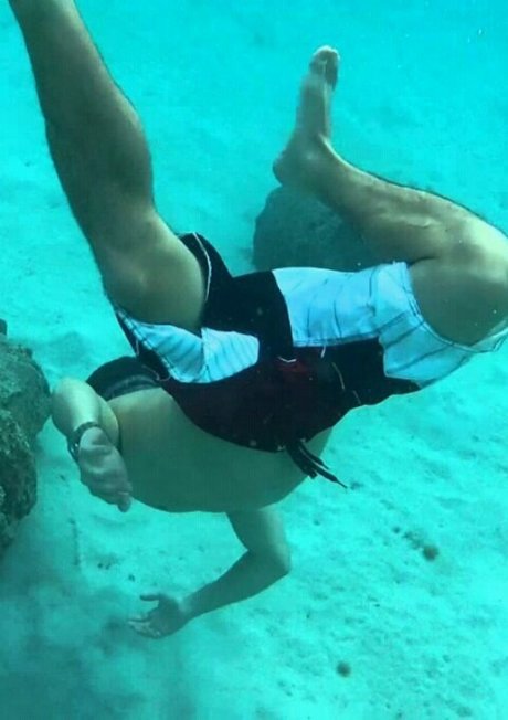 Sleepy Bear 完璧なスター ギャラリー