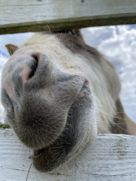 南部のオンリーファンズ ホットセックス ギャラリー