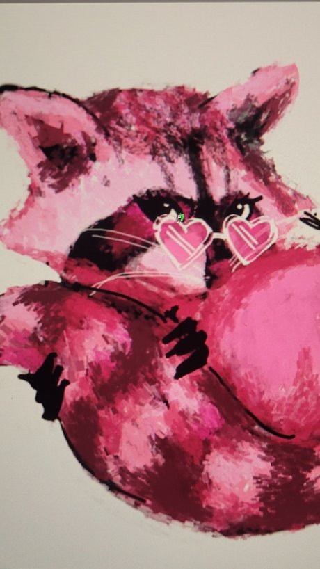 Pink Raccoon トップスター 写真
