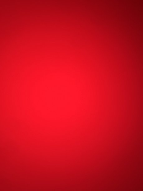 Pink berry 裸のモデル 画像