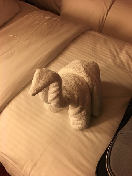 ジンジャーティーンオンリーファンズ アートxxx アーカイブ