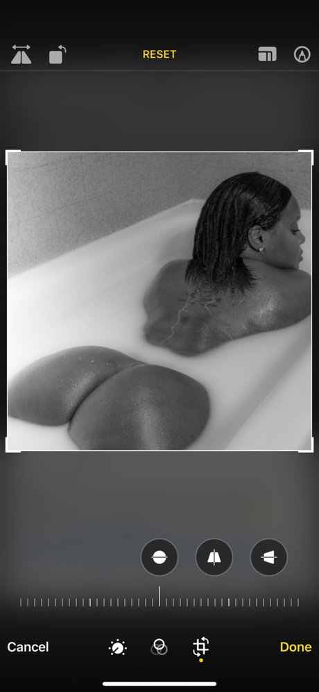 Phoenix Rosez ホットスター 写真