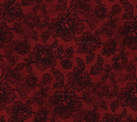 Petite Danseuse エロティックなモデル 写真