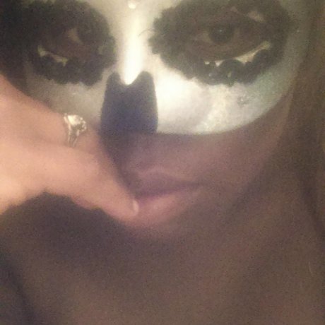 Plush Pet 素敵なスター 写真