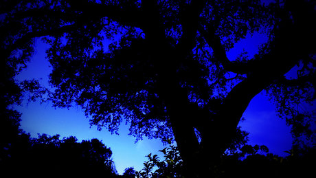 40歳のオンリーファンズ えろ アーカイブ