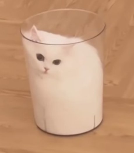 Claire CS 高品質女優 写真