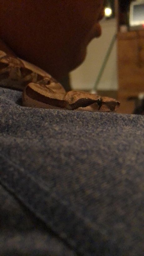 Daddy s little_ ポルノスター エロティック 写真