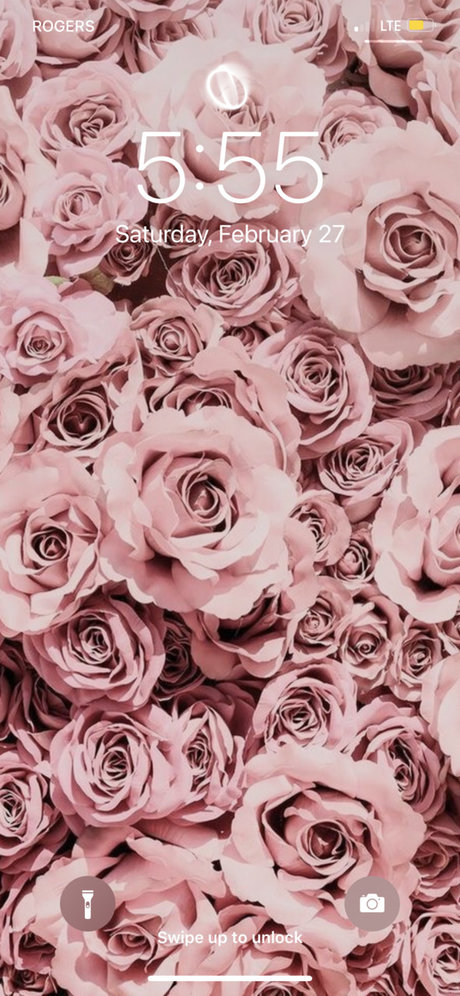 Coochy amp ampCream 独占スター ギャラリー