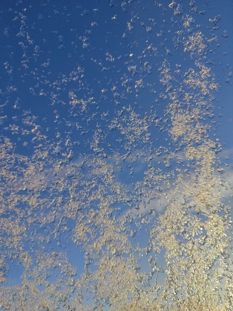 Potatis アートスター 写真