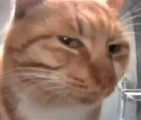 Benny Boy ポルノスター 画像