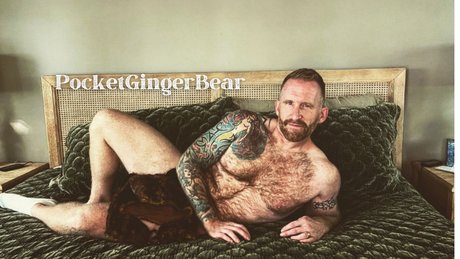 PocketGingerBear アート女優 写真
