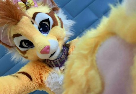 thatyellowkitty 裸のポルノスター 写真