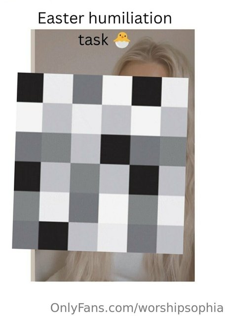 worshipsophia 素敵なスター 写真