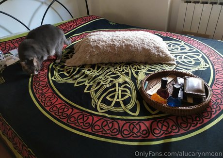 alucarynmoon エロティックなポルノスター 写真