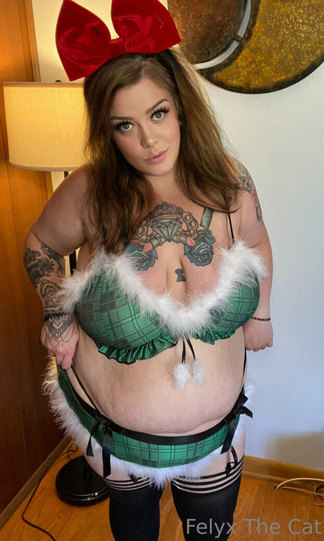 felyxfree 高品質スター ギャラリー