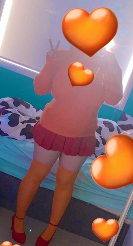 Will o wisps 完璧なモデル 画像