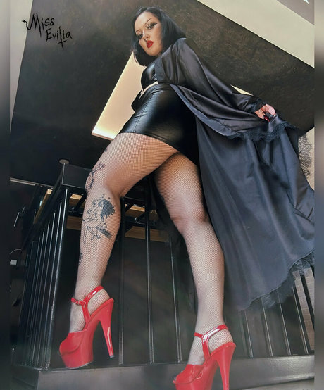 misseviliafree プロフィール写真