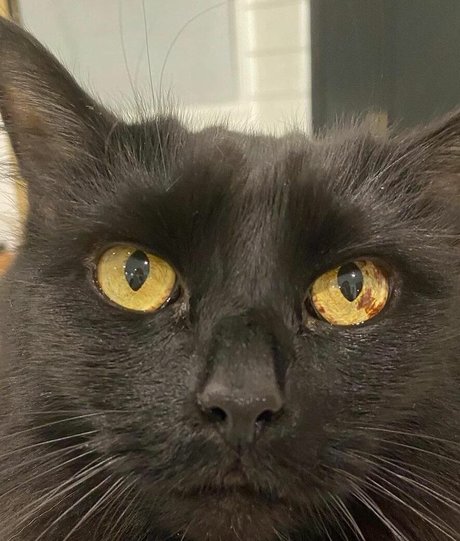 Jeri Ryan ポルノスター HD アーカイブ