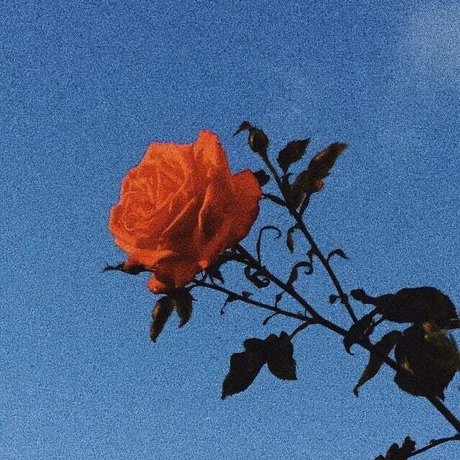 Princess Bitchass かわいいモデル 写真