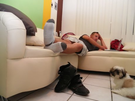 Daily Stinky Socks 高品質スター 写真