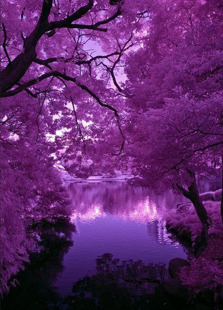 Prince Mikail ポルノスター 無料 画像