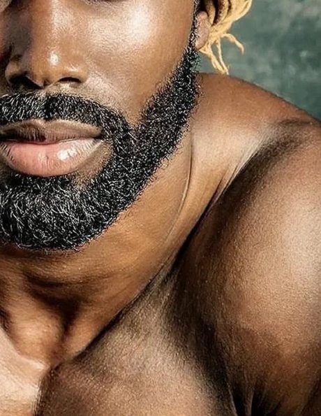 Daddy Prince Breed ホットなスター 画像