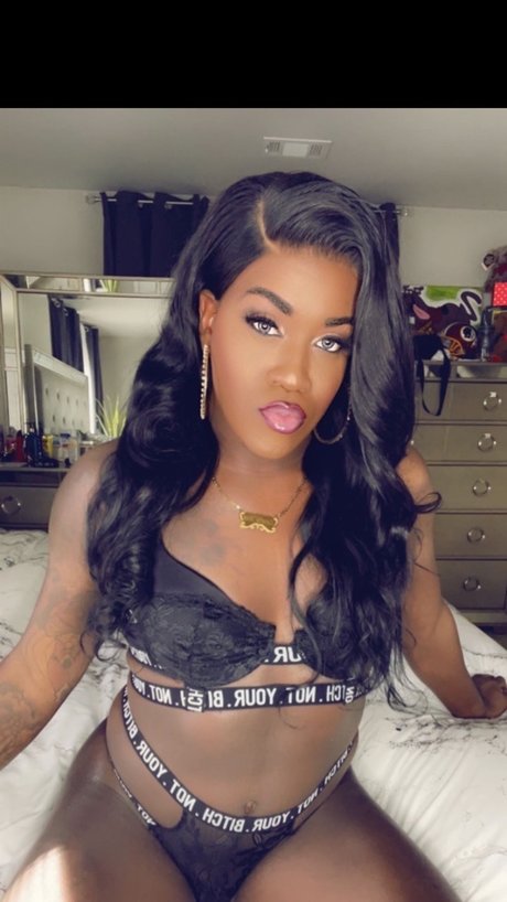 Shemale Chocolate 高品質のスター ギャラリー