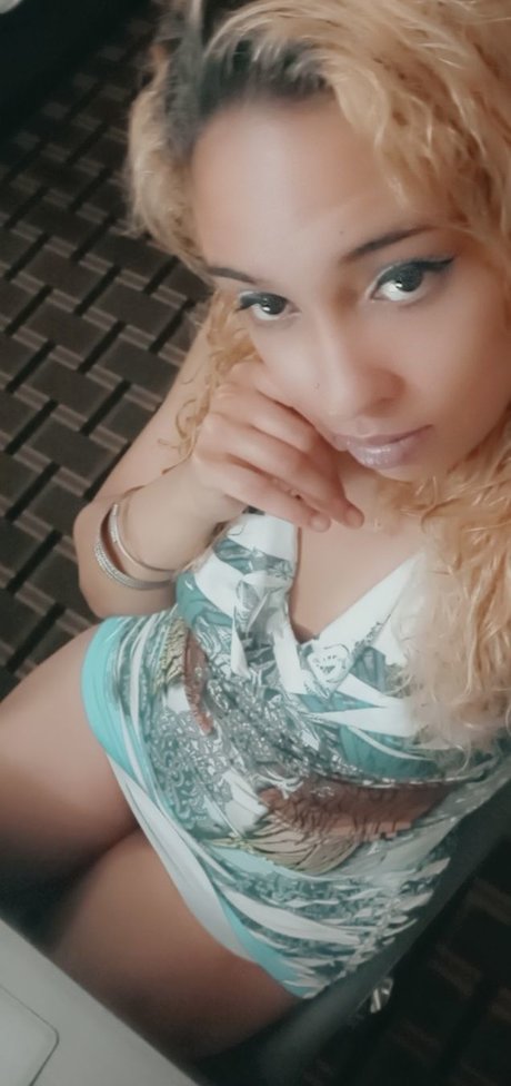 Priscilla Knox HDモデル 画像