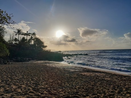 Chubbyguy 高品質モデル 写真
