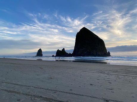 Reese W スター ヌード 写真