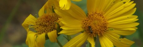 Rain night HD女優 写真