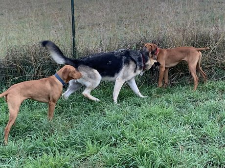 Michael Scott 裸のモデル 写真