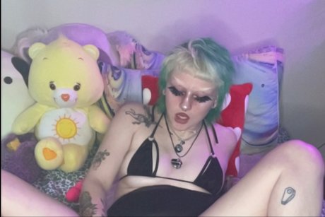 bug_ 美しいスター 写真